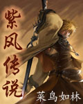 ����֮�Ϸ紫˵txt����