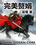 完美赘婿txt下载