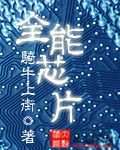 全能芯片txt下载