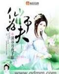 仙师为夫