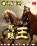 马贼王txt下载