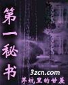 第一秘书
