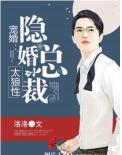 宠婚:隐婚总裁太狼性txt下载