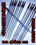 恶魔果实能力者txt下载