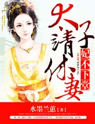 妃不下堂,太子请休妻txt下载