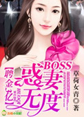Ƹ��3��,BOSS�����޶�txt����