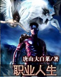 职业人生