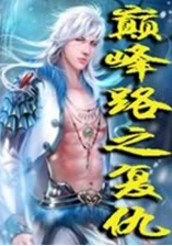 巅峰路之复仇txt下载