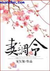 妻调令