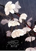 大师兄