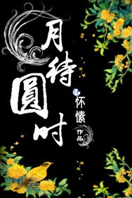 月待圆时txt下载