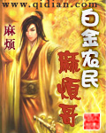 白金农民麻烦哥txt下载