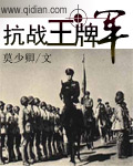 抗战王牌军txt下载