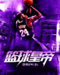篮球皇帝txt下载