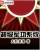超级军功系统txt下载