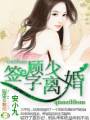 顾少,签字离婚!