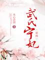 武氏宁妃txt下载
