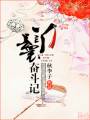 丫鬟奋斗记