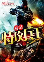 极品特攻兵王txt下载