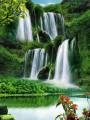 �ҵ�Ů���ҵİ�
