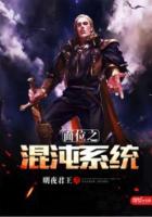 位面之混沌系统txt下载