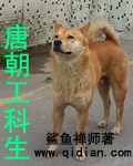 唐朝工科生txt下载