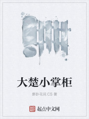 大楚小掌柜txt下载