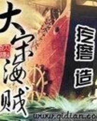 大宋海贼