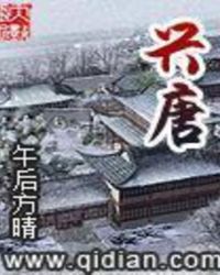 兴唐txt下载