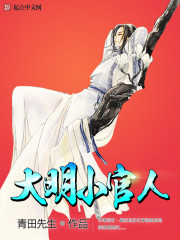 大明小官人txt下载