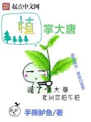ֲ�ƴ���