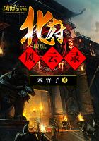 北府风云录txt下载