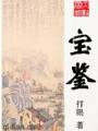 宝鉴txt下载