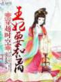穿越时空:王妃要和离