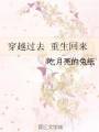 穿越过去 重生回来