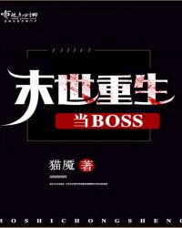 ĩ��������BOSStxt����