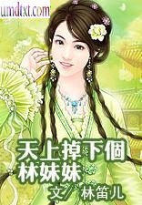 天上掉下个林妹妹