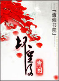 坏皇后