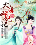 大唐双妃记