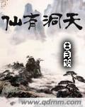 仙有洞天txt下载