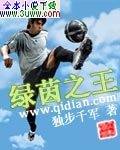 绿茵之王txt下载