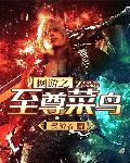 网游之至尊菜鸟txt下载