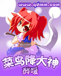 菜鸟降大神