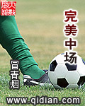 完美中场txt下载