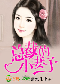总裁的小妻子txt下载