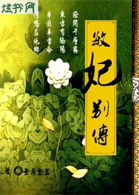 敏妃别传之古镯清缘txt下载