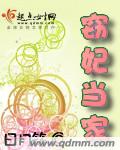 窃妃当家