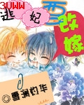 逃妃要改嫁