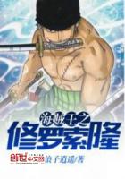 海贼王之修罗索隆txt下载