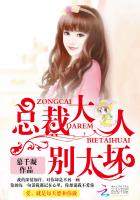 总裁大人,别太坏